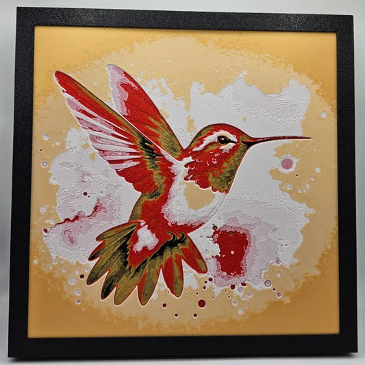 Ruby Hummingbird Splash